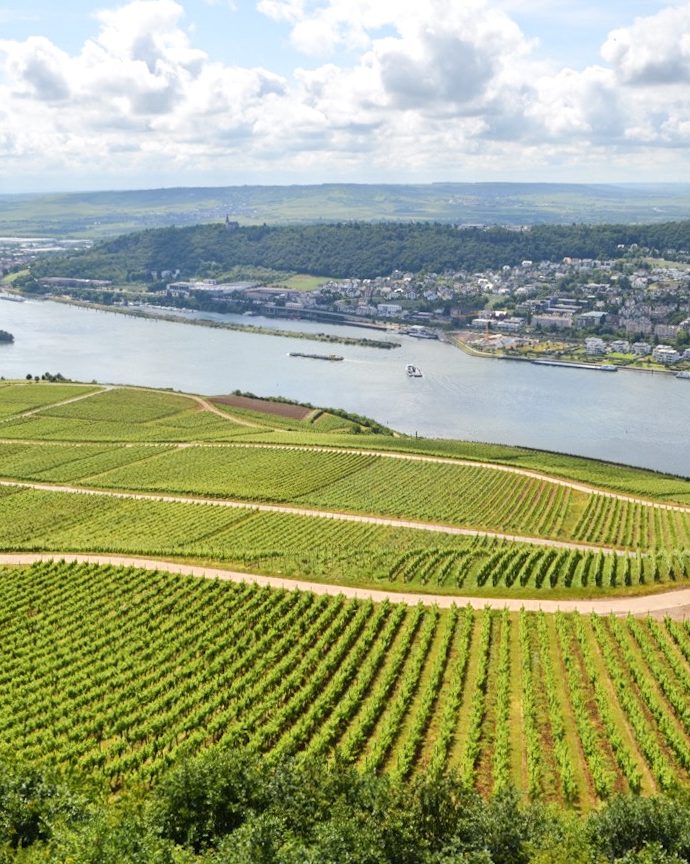 Germany – Day Trip to Rüdesheim am Rhine