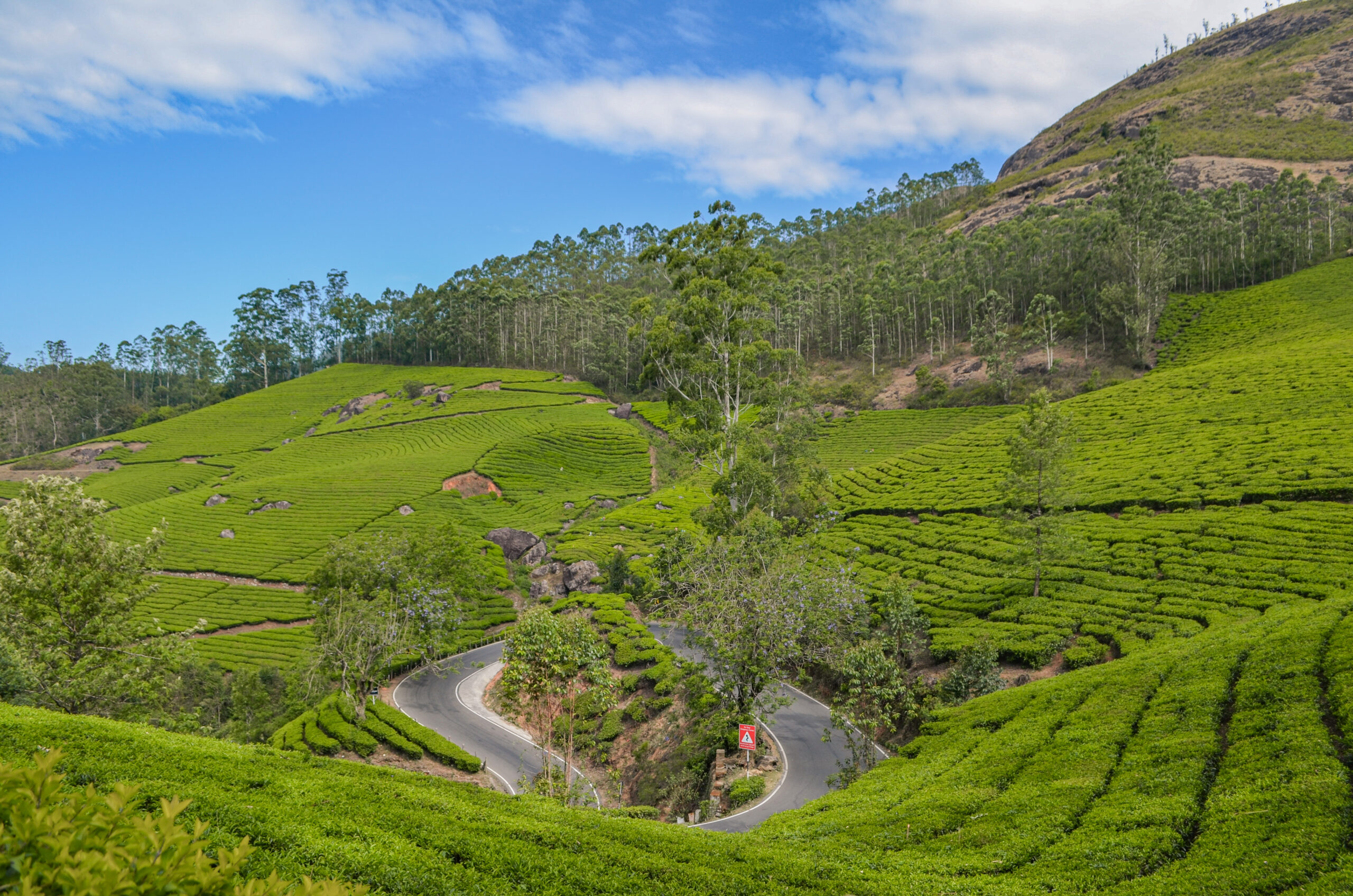 Munnar – A Complete Travel Guide
